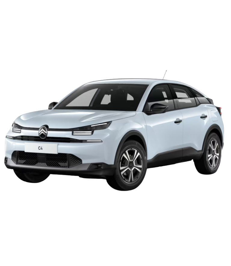 Citroen Servis